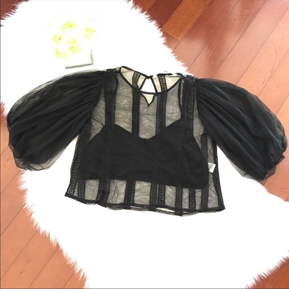 Zara Tops - Zara Sheer Puffy Sleeve Lace Crop Top